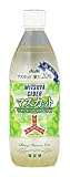 (お徳用ボックス) 三ツ矢サイダー マスカット 500ml×24本の画像