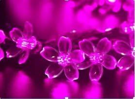 Wish Dayz Christmas Thanksgiving Day 40 String Lights Blossom Decorative Gardens, Lawn, Patio, Christmas Trees, Weddings, Parties, Halloween Lights Decoration, Indoor and Outdoor Use (Pink, Battery)