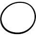 Pac Fab Challenger Pinnacle Swimming Pool Pump Lid O-Ring 6