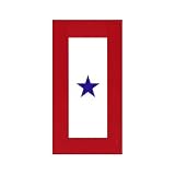 Service Star Magnet
