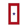 Service Star Magnet