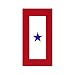 Service Star Magnet