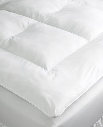 Martha Stewart Collection Martha Stewart Collection