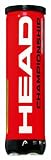 Head Championship, 4 Palle da tennis, colore: Giallo