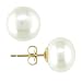 10K Yellow Gold 8-8.5mm Cultured Freshwater Pearl Earrings