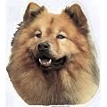 Eurasier Aufkleber - Gro�