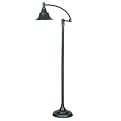 Sight Saver Floor Lamp Bronzed - Brass (57")