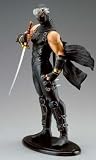 Ninja Gaiden: Ryu Hayabusa 13" Figure StatueIMAGE