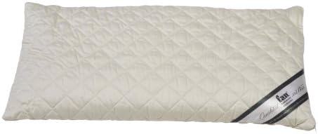 f.a.n. Frankenstolz 03880-11024-19 Dinkelkissen / Medisan Sleep &amp; Care / 040 x 080 cm