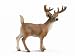 Schleich White-tailed Buck