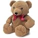 Spa Comforts Hot Teddy