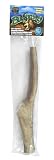 Free Range Buckarooz! Premium Deer Antlers, 10 - 12" Giant