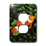 Tropical Fish - Clown Anemone Fish - Light Switch Covers - 2 plug outlet cover