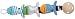 Pacifier Clip Fishes