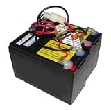 High Capacity Razor Dune Buggy Replacement Batteries. Reuse Your Existing Cables/Wires Includes (2) Batteries