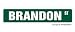 BRANDON - Street Sign - Great Gift Idea 100's of names to choose from!!!