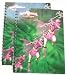 Power Rangers Stationery : 2 pcs Notebook set 8" x 10"
