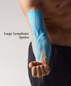 SpiderTech Lymphatic Spider, Color: Black , Lg (Pack of 5)