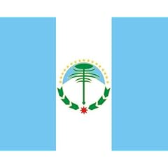 Fahne: Flagge: Neuqu&eacute;n (Provinz) 20x30cm