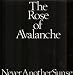 The Rose Of Avalanche-NEVER ANOTHER SUNSET 12