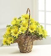 Floral Flowers - Summer Daisy Basket - Small