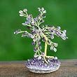 NOVICA Gemstone tree, 'Amethyst Leaves' (small)