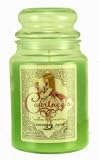 Cucumber Patch Courtneys Candles Maximum Scented 26oz Large Jar Candle Burns 200 Hours 31u4CNmvcTL. SL160 Cucumber Patch Courtneys Candles Maximum Scented 26oz Large Jar Candle Burns 200 Hours