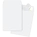 Quality Park R5121 Quality Park Tyvek Heavyweight Jumbo Envelopes, 18x23, White, 25/Box
