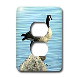 Cassie Peters Photography - Canada Goose Photographed by Angelandspot - Light Switch Covers - 2 plug outlet cover