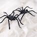 Spider webbing - 1pk