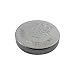 Lenmar WC395 SR927SW 395 Silver Oxide Watch Battery