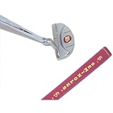 Florida State Seminoles Datrek Putter