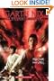 Above the Veil (The Seventh Tower, Book 4)