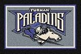 Furman Paladins 33