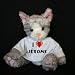 Plush Stuffed Cat (Kit Kat) toy I Love J rome t-shirt