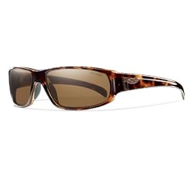 Click here to buy Smith Optics Precept Sunglass.