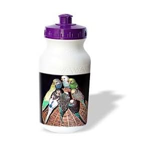 Birds - Parakeet - Water Bottles by 