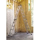 21' World's Greatest Ladder (Aluminum) (21'H x 11
