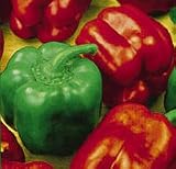 from Haddons Sweet Bell Pepper - Californian Wonder - 40 seeds