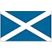 Scotland - St Andrews Cross - 3ft x 5ft Polyester Scottish Flag