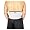 Therion Platinum MTR Magnetic Back Support - Platinum - Low Back Support M - OS202