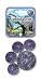 Mega Marbles - BRONTOSAURUS Marbles Net (1 Shooter Marble, 24 Player Marbles & 2 Display Rings)