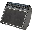 Acoustic AG120S Acoustic Guitar Combo Amp Black