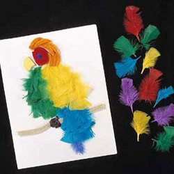 Collage Feathers Craft Pack