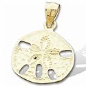 14K Yellow Gold Sand Dollar Pendant - 17.25 x 14.75 mm