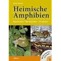 Heimische Amphibien: Bestimmen-Beobachten-Sch�tzen