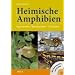 Heimische Amphibien: Bestimmen-Beobachten-Sch�tzen