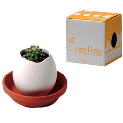 Childrens Toyshop  Outdoor Living : prickly cactus eggling