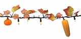 View Set of 50 Orange Mini Halloween Fall Harvest Lights with Pumpkins – Brown Wire Set of 50 Orange Mini Halloween Fall Harvest Lights with Pumpkins – Brown Wire Picture