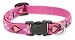 Lupine Small Dog Collar - Puppy Love 10-16"